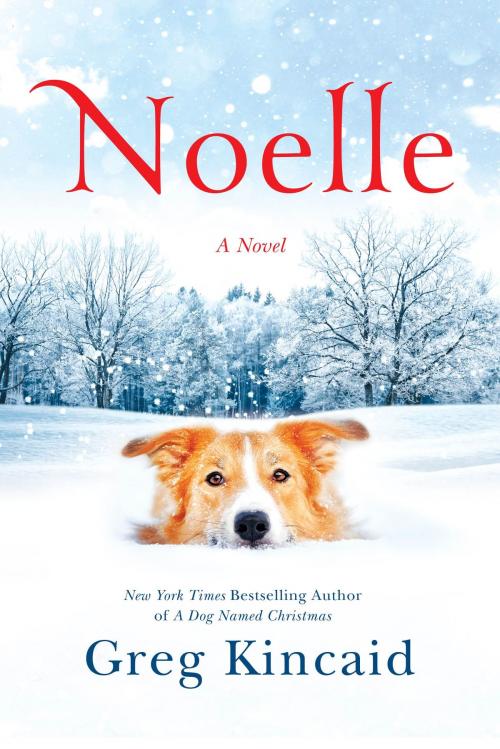 Cover of the book Noelle by Greg Kincaid, The Crown Publishing Group