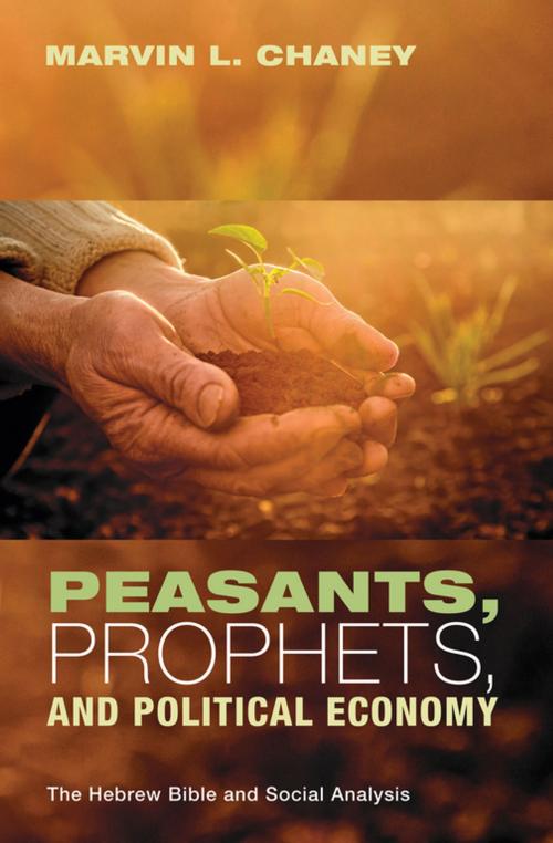 Cover of the book Peasants, Prophets, and Political Economy by Marvin L. Chaney, Wipf and Stock Publishers