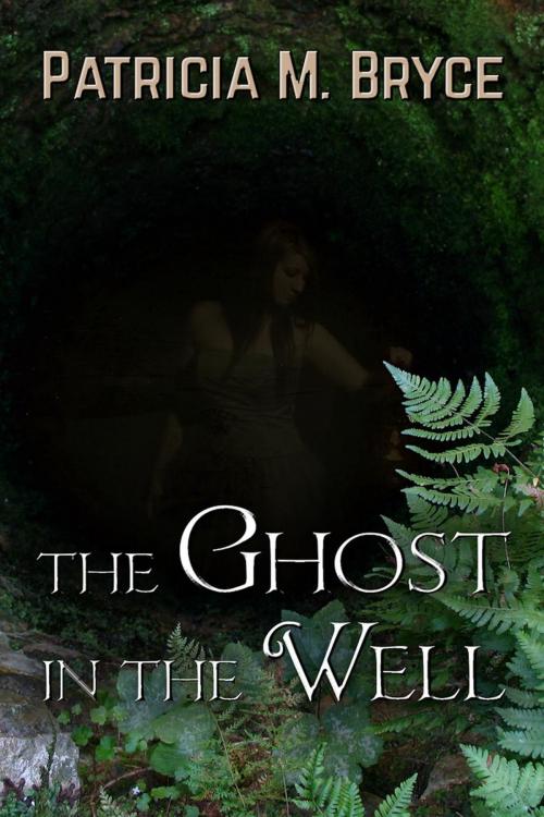 Cover of the book The Ghost in the Well by Patricia M. Bryce, Patricia M. Bryce