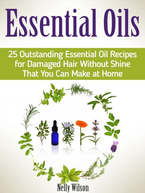 Cover of the book Essential Oils: 25 Outstanding Essential Oil Recipes for Damaged Hair Without Shine That You Can Make at Home by Nelly Wilson, Cloud 42 Solutions