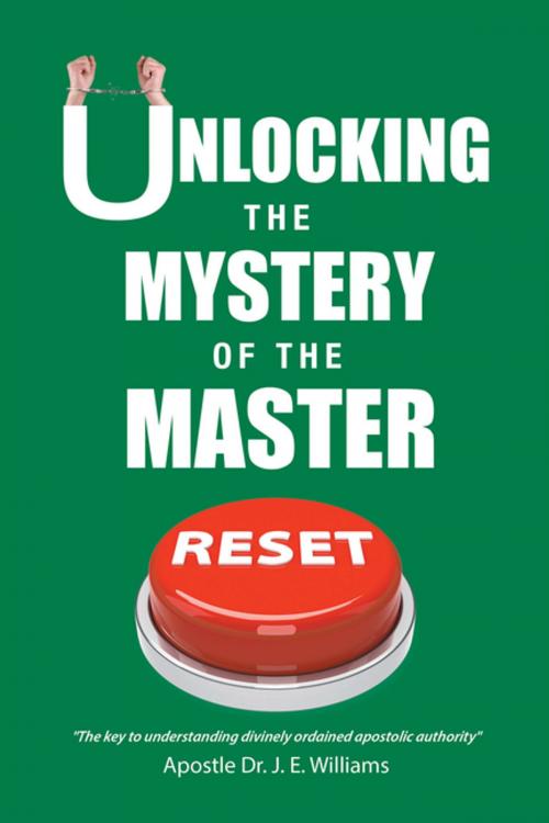 Cover of the book Unlocking the Mystery of the Master Reset by J. E. Williams, Xlibris US