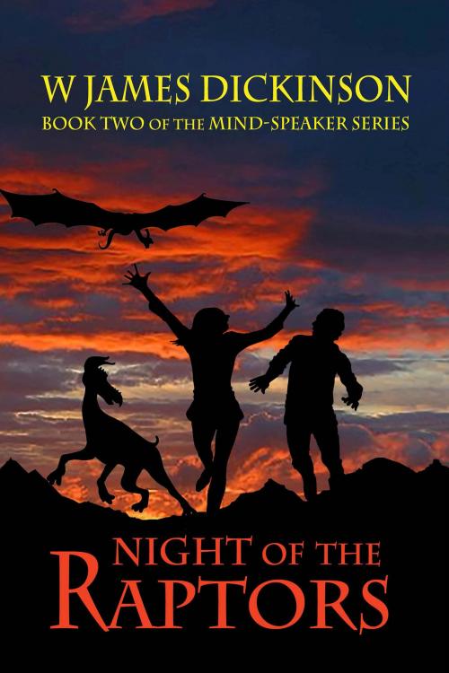 Cover of the book Night of the Raptors by W James Dickinson, BookBaby