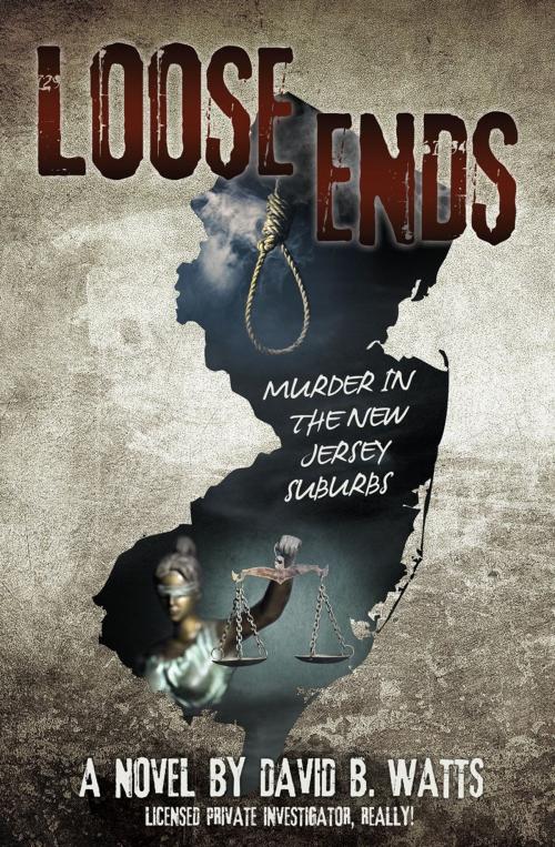 Cover of the book LOOSE ENDS by David B. Watts, Mill City Press