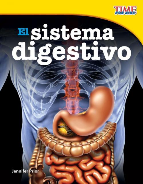 Cover of the book El sistema digestivo by Jennifer Prior, Teacher Created Materials