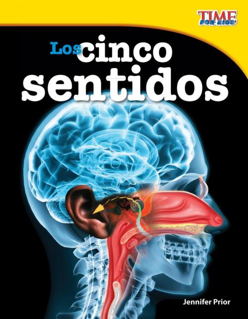 Cover of the book Los cinco sentidos by Jennifer Prior, Teacher Created Materials