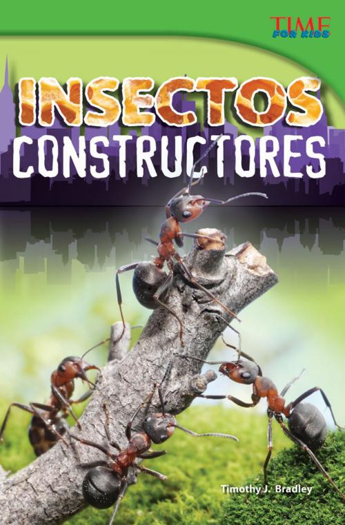 Cover of the book Insectos constructores by Timothy J. Bradley, Teacher Created Materials