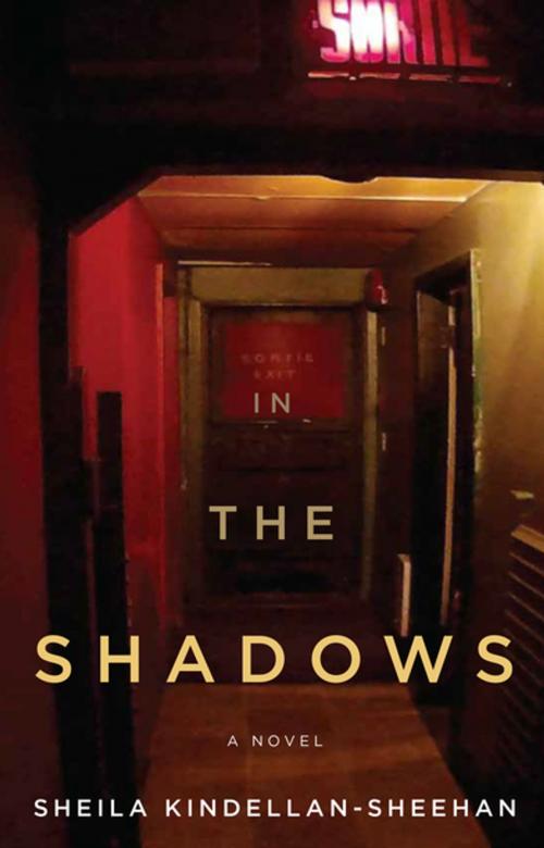 Cover of the book In the Shadows by Sheila Kindellan-Sheehan, Véhicule Press