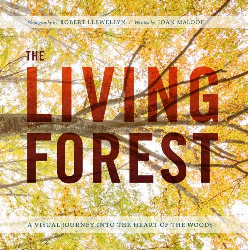Cover of the book The Living Forest by Robert Llewellyn, Joan Maloof, Timber Press