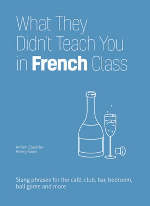 Cover of the book What They Didn't Teach You in French Class by Adrien Clautrier, Henry Rowe, Ulysses Press