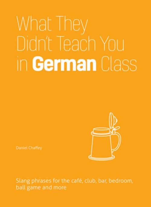 Cover of the book What They Didn't Teach You in German Class by Daniel Chaffey, Ulysses Press