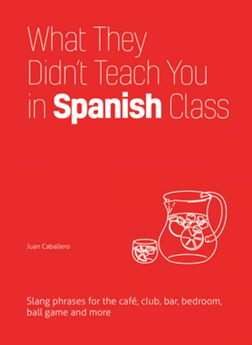 Cover of the book What They Didn't Teach You in Spanish Class by Juan Caballero, Ulysses Press