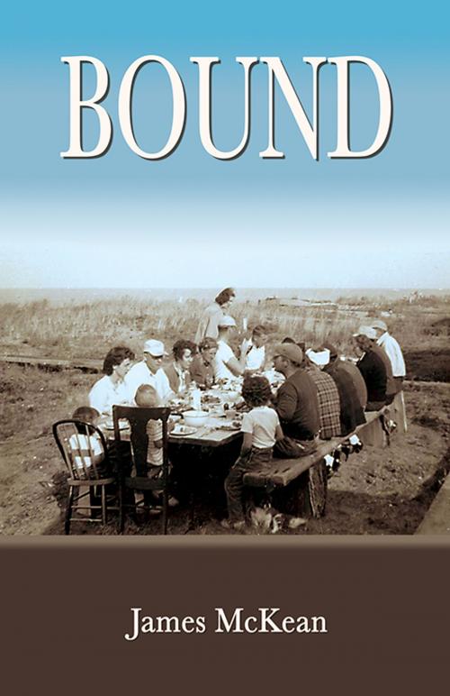 Cover of the book Bound by James McKean, Truman State University Press