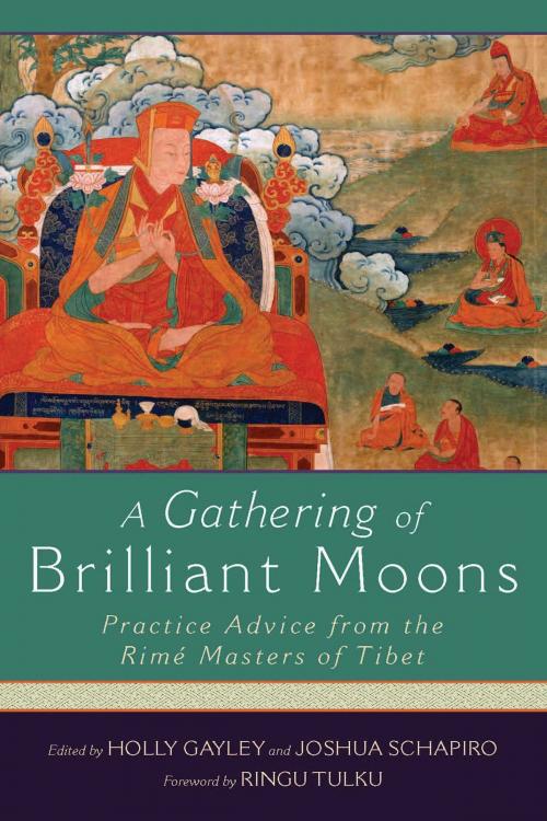 Cover of the book A Gathering of Brilliant Moons by , Wisdom Publications