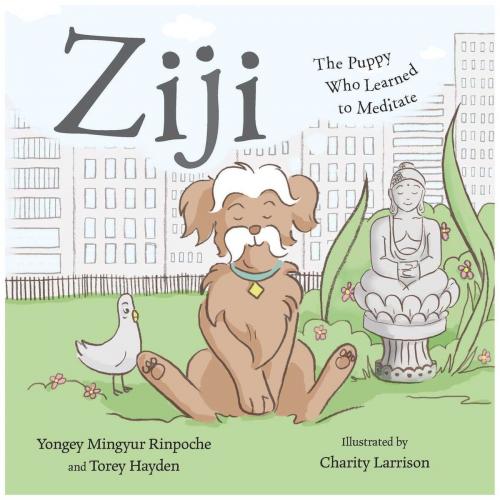 Cover of the book Ziji by Yongey Mingyur Rinpoche, Torey Hayden, Wisdom Publications