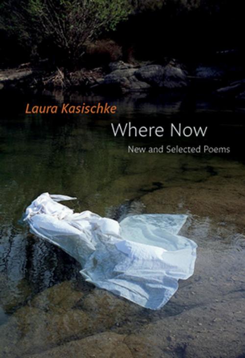 Cover of the book Where Now: New and Selected Poems by Laura Kasischke, Copper Canyon Press