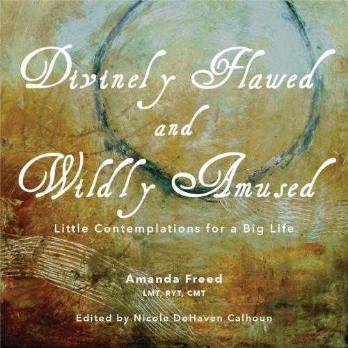 Cover of the book Divinely Flawed and Wildly Amused by Amanda Freed, Gatekeeper Press