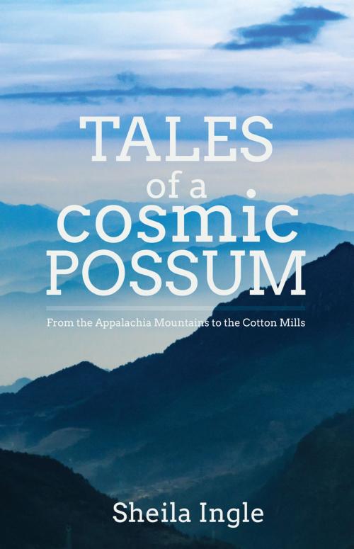 Cover of the book Tales of a Cosmic Possum by Sheila Ingle, Ambassador International