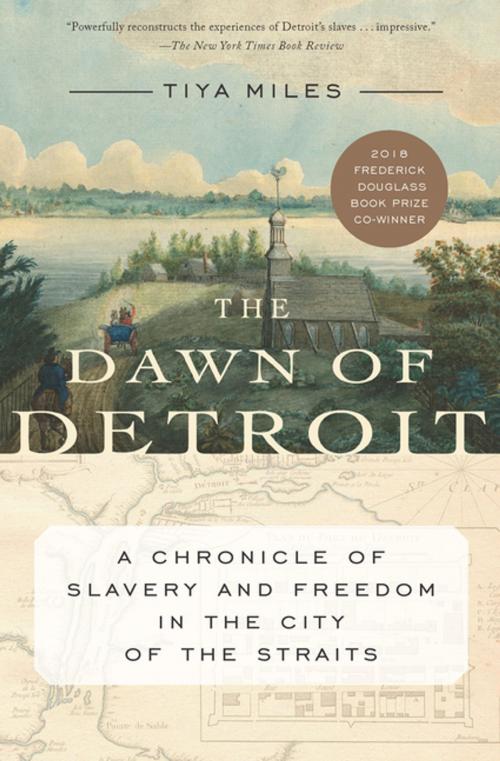 Cover of the book The Dawn of Detroit by Tiya Miles, The New Press
