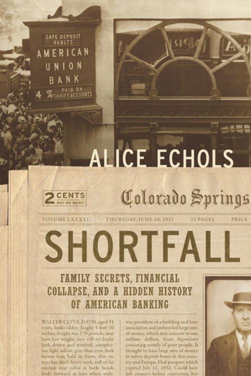 Cover of the book Shortfall by Alice Echols, The New Press