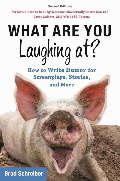Cover of the book What Are You Laughing At? by Brad Schreiber, Allworth