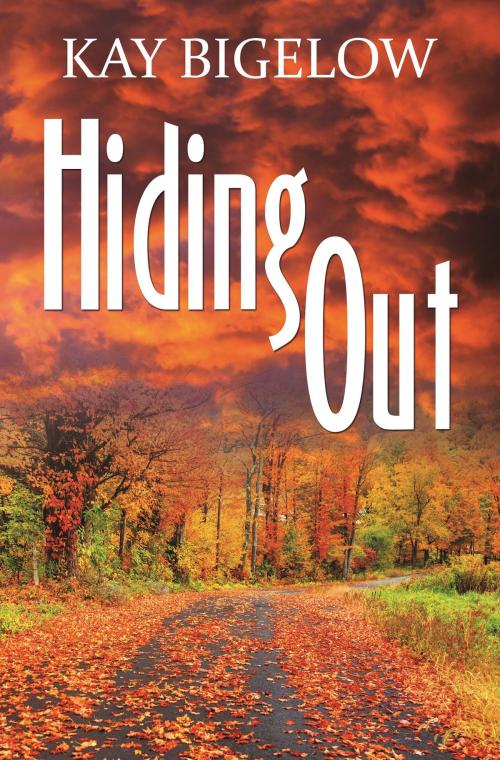Cover of the book Hiding Out by Kay Bigelow, Bold Strokes Books, Inc.