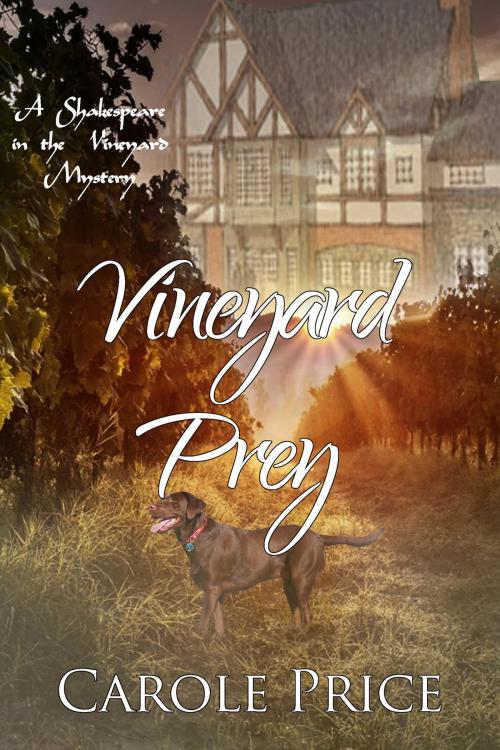 Cover of the book Vineyard Prey by Carole Price, Black Opal Books