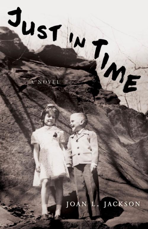 Cover of the book Just In Time by Joan Lindstedt Jackson, She Writes Press