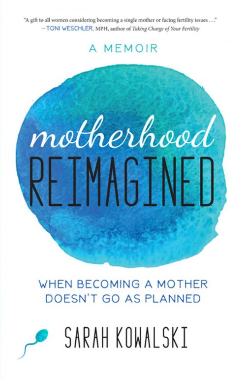 Cover of the book Motherhood Reimagined by Sarah Kowalski, She Writes Press