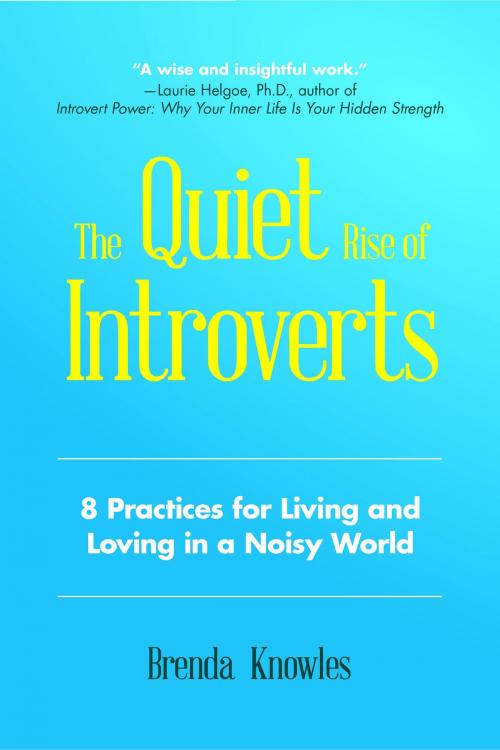 Cover of the book The Quiet Rise of Introverts by Brenda Knowles, Mango Media