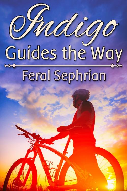 Cover of the book Indigo Guides the Way by Feral Sephrian, JMS Books LLC