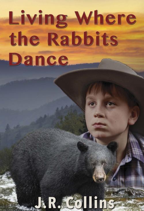 Cover of the book Living Where the Rabbits Dance by J.R. Collins, A-Argus Better Book Publishers