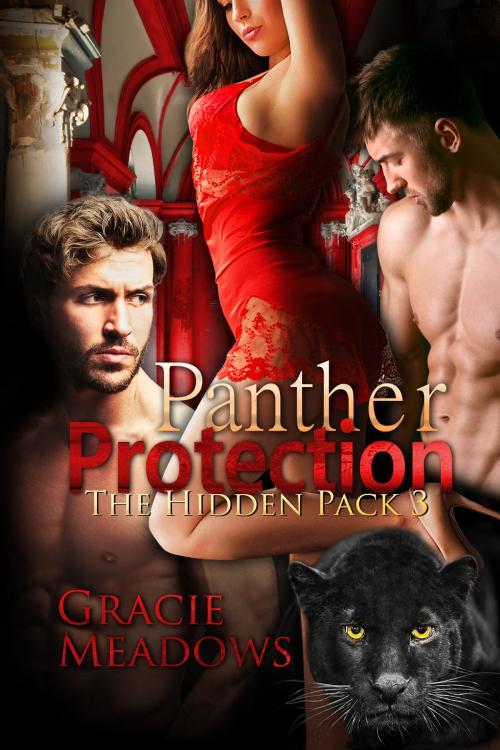 Cover of the book Panther Protection (Hidden Pack 3) by Gracie Meadows, Vinvatar Publishing