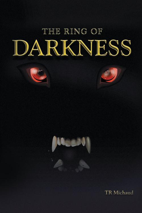 Cover of the book The Ring of Darkness by T.R. Michaud, Page Publishing, Inc.