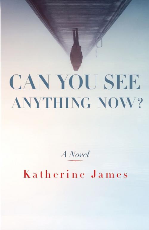 Cover of the book Can You See Anything Now? by Katherine James, Paraclete Press