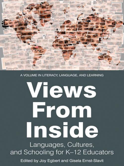 Cover of the book Views from Inside by , Information Age Publishing