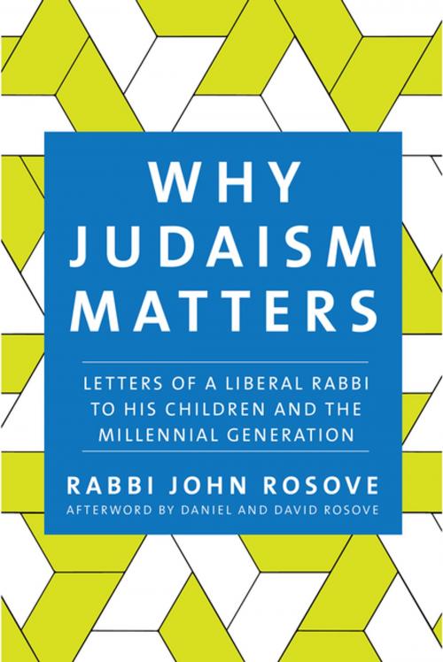 Cover of the book Why Judaism Matters by Rabbi John Rosove, Turner Publishing Company