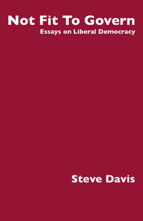 Cover of the book Not Fit To Govern by Steve Davis, Ginninderra Press