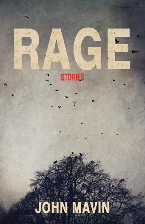 Cover of the book Rage by John Mavin, Thistledown Press