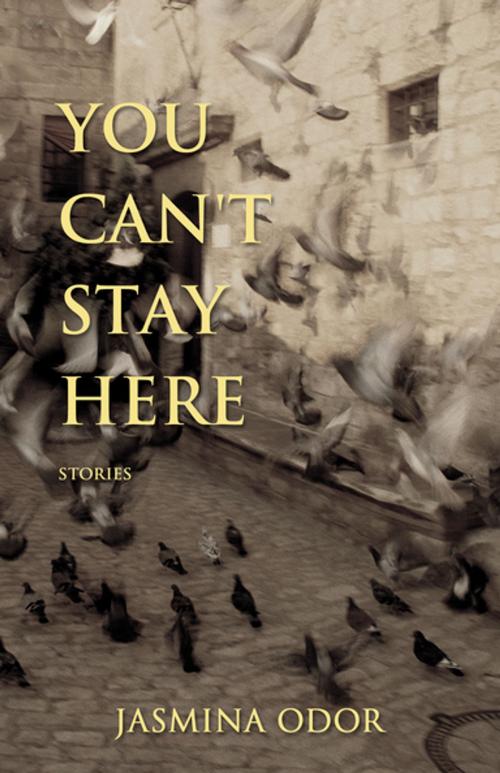 Cover of the book You Can't Stay Here by Jasmina Odor, Thistledown Press