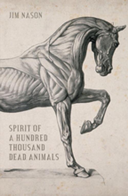 Cover of the book Spirit of a Hundred Thousand Dead Animals by Jim Nason, Signature Editions
