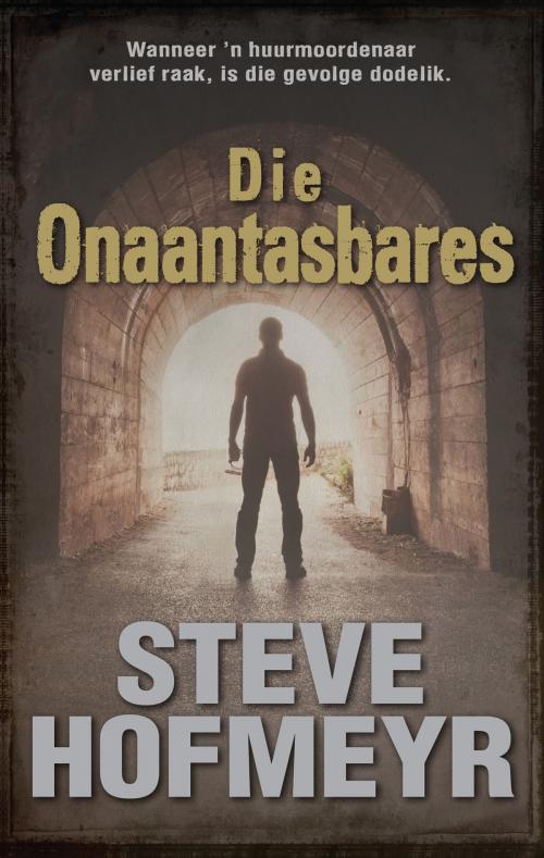 Cover of the book Die onaantasbares by Steve Hofmeyr, Penguin Random House South Africa
