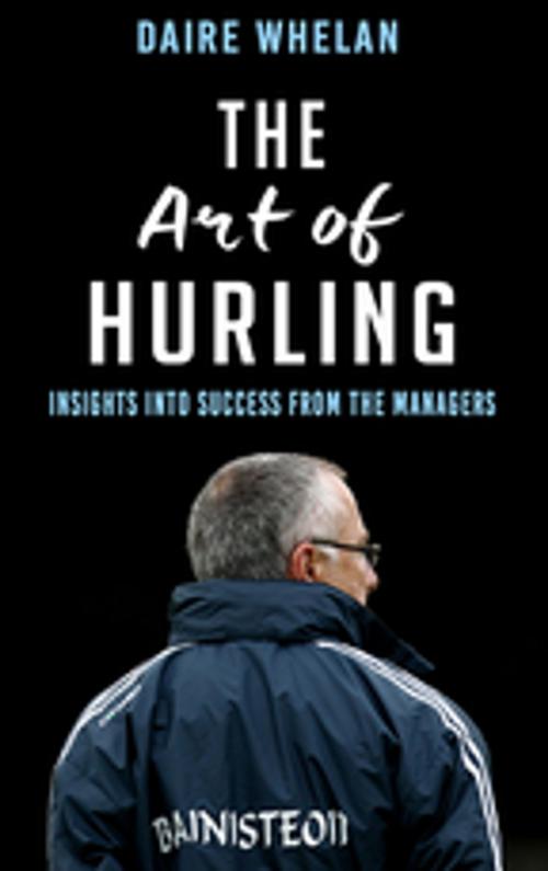 Cover of the book The Art of Hurling: by Daire Whelan, Mercier Press