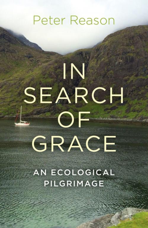 Cover of the book In Search of Grace by Peter Reason, John Hunt Publishing