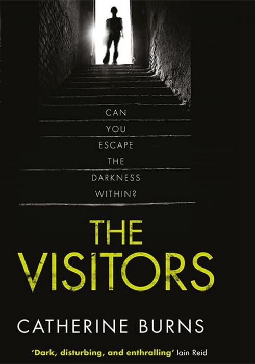 Cover of the book The Visitors by Catherine Burns, Legend Press