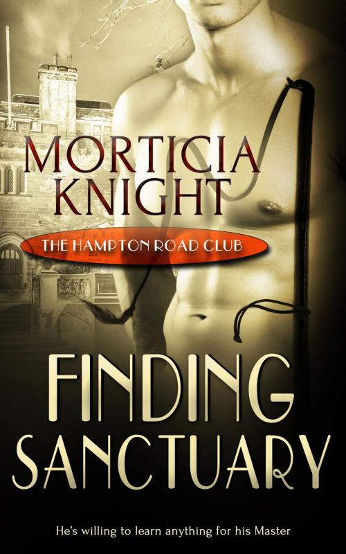 Cover of the book Finding Sanctuary by Morticia Knight, Totally Entwined Group Ltd