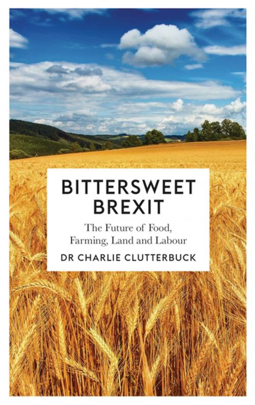 Cover of the book Bittersweet Brexit by Charlie Clutterbuck, Pluto Press