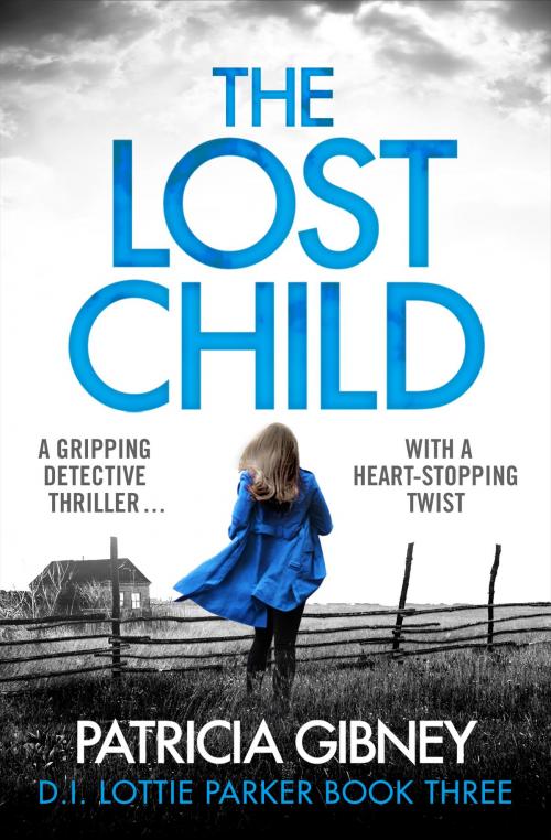 Cover of the book The Lost Child by Patricia Gibney, Bookouture