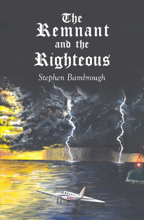 Cover of the book The Remnant and the Righteous by Stephen Bambrough, Austin Macauley