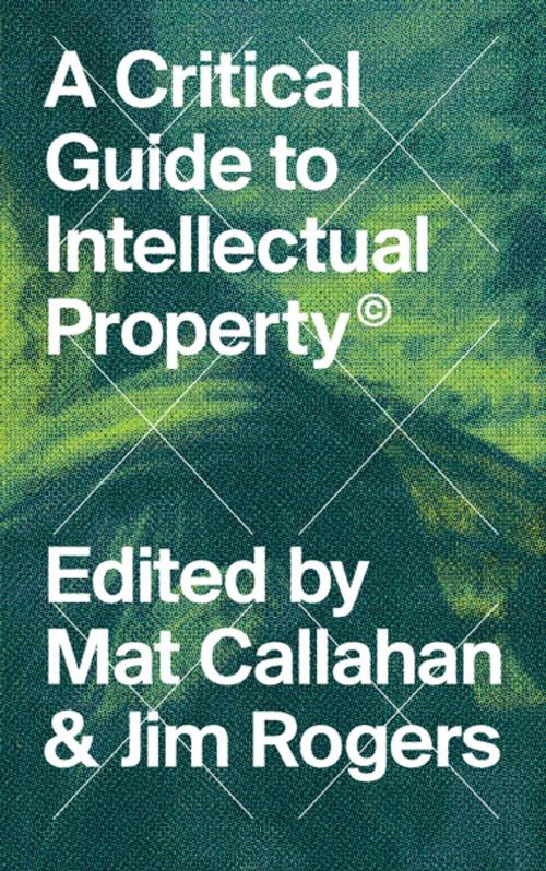 Cover of the book A Critical Guide to Intellectual Property by , Zed Books