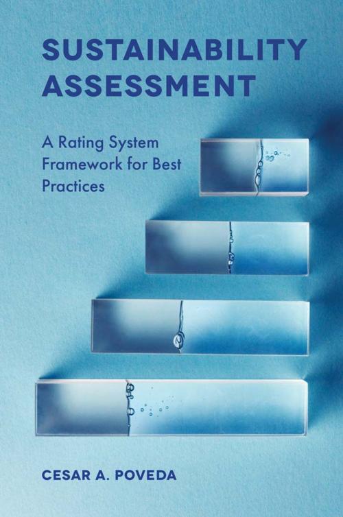 Cover of the book Sustainability Assessment by Cesar A. Poveda, Emerald Publishing Limited